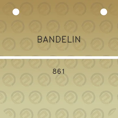 bandelin-861