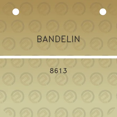 bandelin-8613