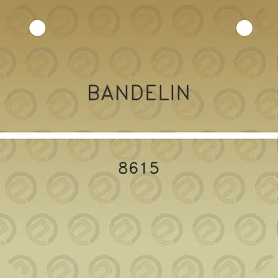 bandelin-8615