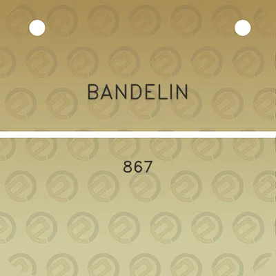 bandelin-867