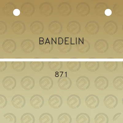 bandelin-871