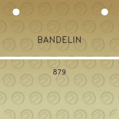 bandelin-879