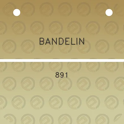 bandelin-891