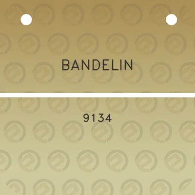 bandelin-9134