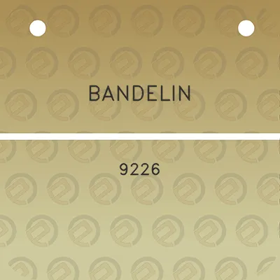 bandelin-9226