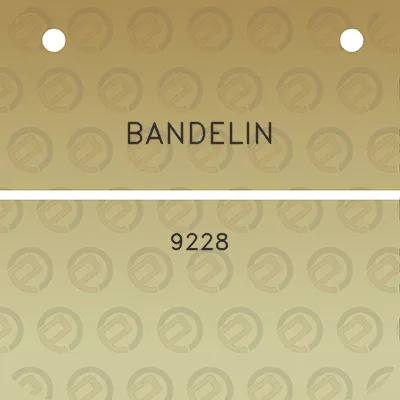 bandelin-9228