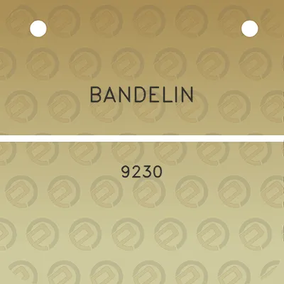 bandelin-9230