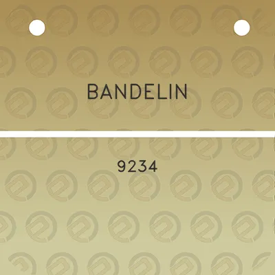 bandelin-9234