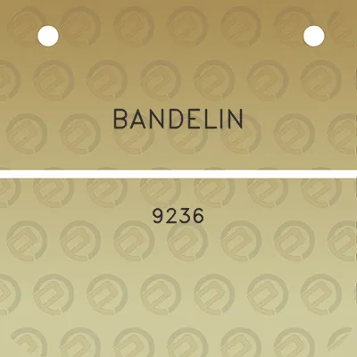 bandelin-9236