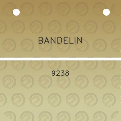 bandelin-9238