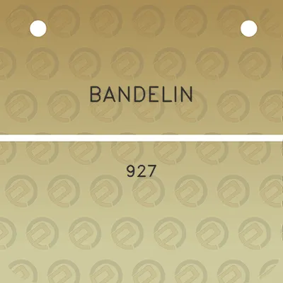 bandelin-927