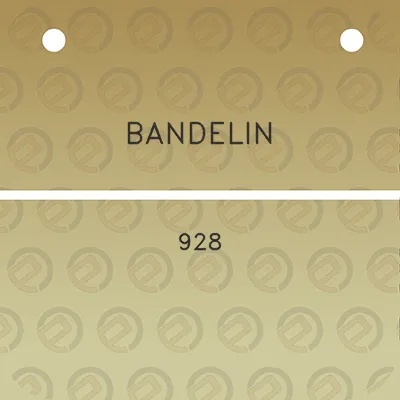 bandelin-928