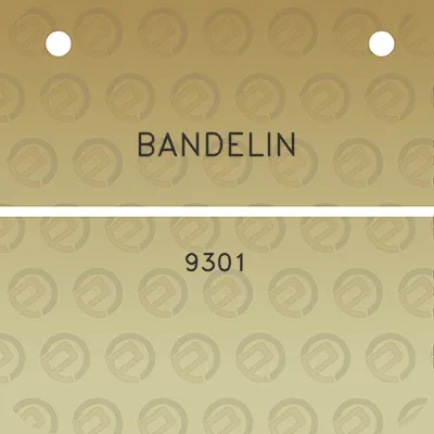 bandelin-9301