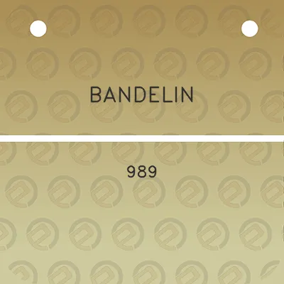 bandelin-989