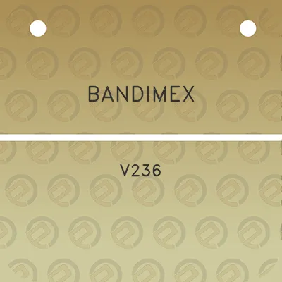 bandimex-v236