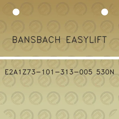 bansbach-easylift-e2a1z73-101-313-005-530n