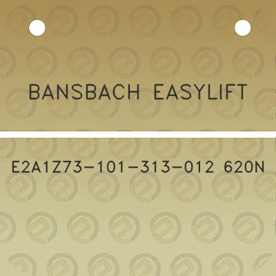 bansbach-easylift-e2a1z73-101-313-012-620n