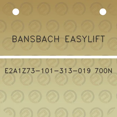 bansbach-easylift-e2a1z73-101-313-019-700n