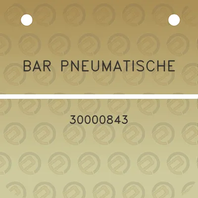 bar-pneumatische-30000843