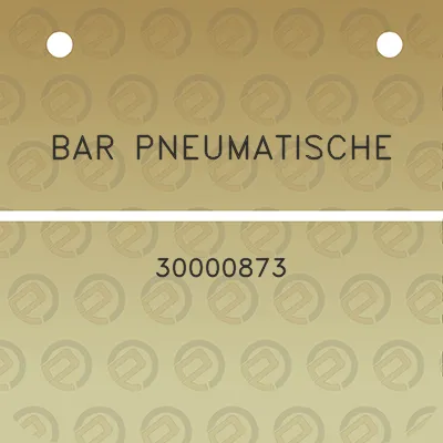 bar-pneumatische-30000873