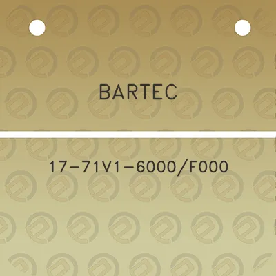 bartec-17-71v1-6000f000