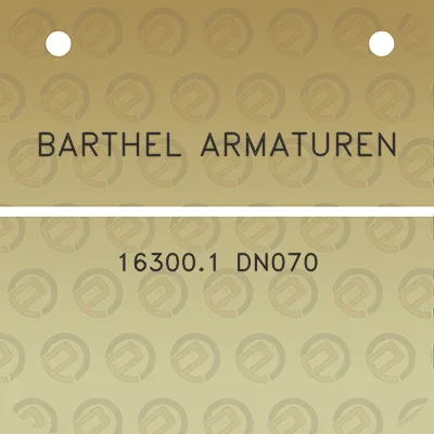 barthel-armaturen-163001-dn070