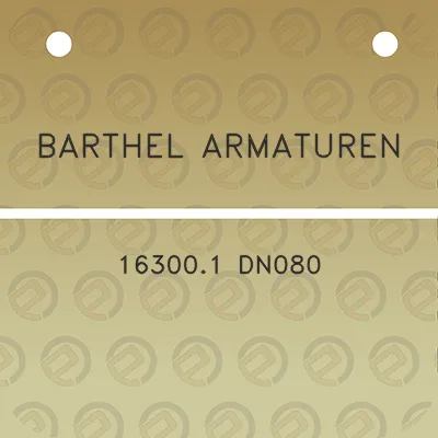 barthel-armaturen-163001-dn080