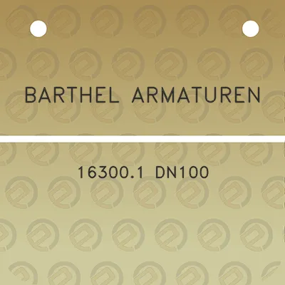 barthel-armaturen-163001-dn100