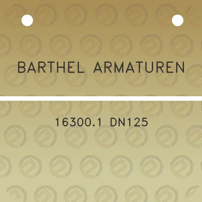 barthel-armaturen-163001-dn125