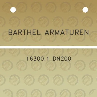 barthel-armaturen-163001-dn200