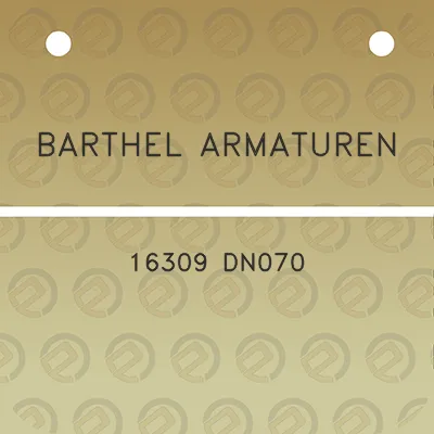 barthel-armaturen-16309-dn070