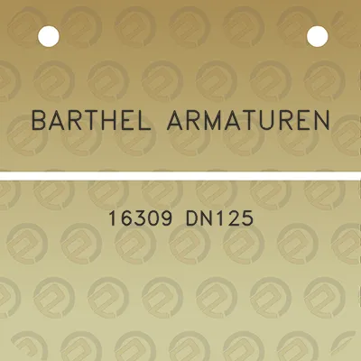 barthel-armaturen-16309-dn125