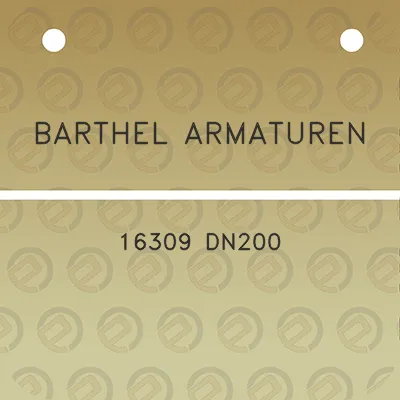 barthel-armaturen-16309-dn200