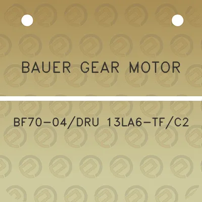 bauer-gear-motor-bf70-04dru-13la6-tfc2