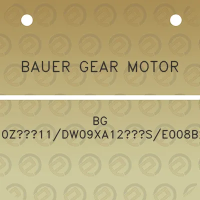 bauer-gear-motor-bg-50z11dw09xa12se008b2