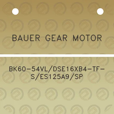 bauer-gear-motor-bk60-54vldse16xb4-tf-ses125a9sp