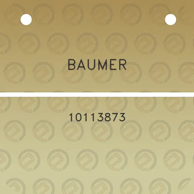 baumer-10113873