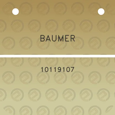 baumer-10119107