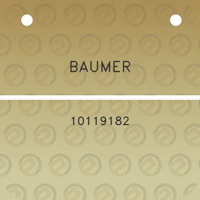 baumer-10119182