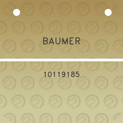 baumer-10119185