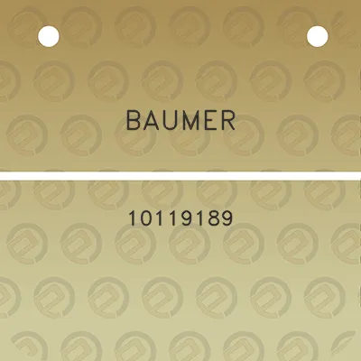 baumer-10119189