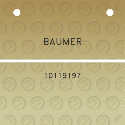 baumer-10119197