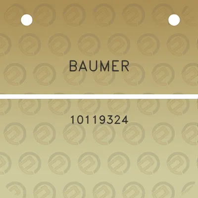 baumer-10119324