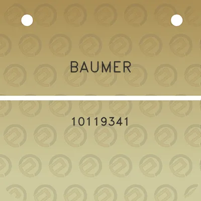 baumer-10119341