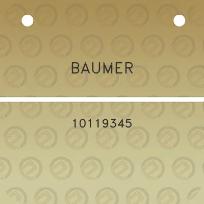 baumer-10119345