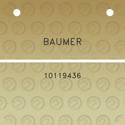 baumer-10119436