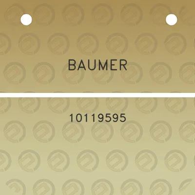 baumer-10119595