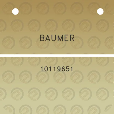 baumer-10119651