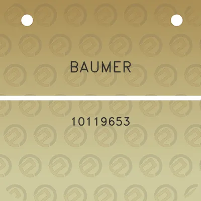 baumer-10119653