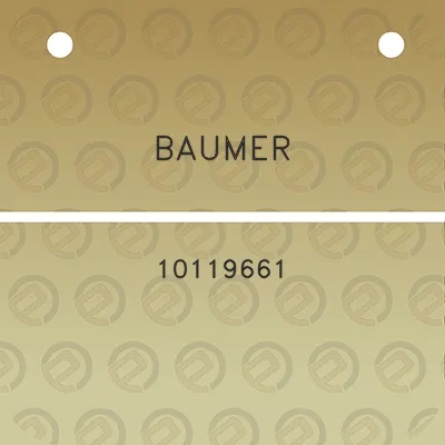 baumer-10119661